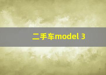 二手车model 3